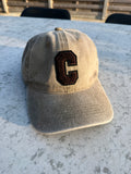 Pet c taupe